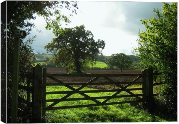 4 Acre Field from the old Five Barred Gate Canvas Print by Heather Goodwin