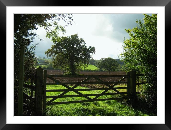 4 Acre Field from the old Five Barred Gate Framed Mounted Print by Heather Goodwin