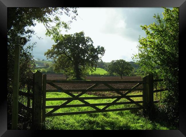4 Acre Field from the old Five Barred Gate Framed Print by Heather Goodwin