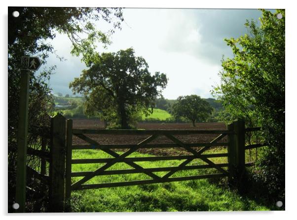4 Acre Field from the old Five Barred Gate Acrylic by Heather Goodwin