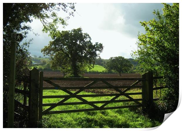 4 Acre Field from the old Five Barred Gate Print by Heather Goodwin