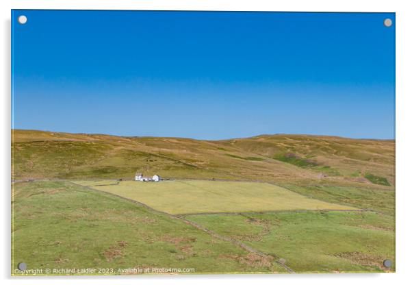 Club Gill Farm, Hudes Hope, Teesdale Acrylic by Richard Laidler