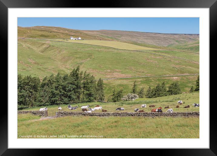 Summer in the Hudes Hope, Teesdale (1) Framed Mounted Print by Richard Laidler