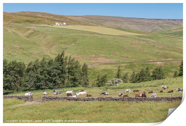 Summer in the Hudes Hope, Teesdale (1) Print by Richard Laidler