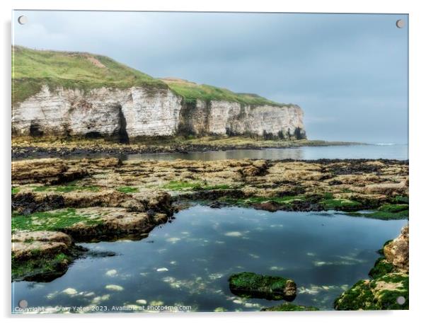 North Landing Flamborough Cliffs Yorkshire. Acrylic by Craig Yates