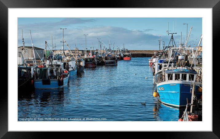 Burghead Fleet in Harbour Framed Mounted Print by Tom McPherson