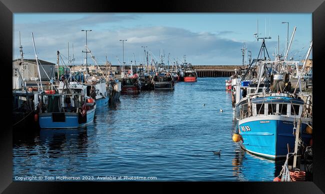 Burghead Fleet in Harbour Framed Print by Tom McPherson