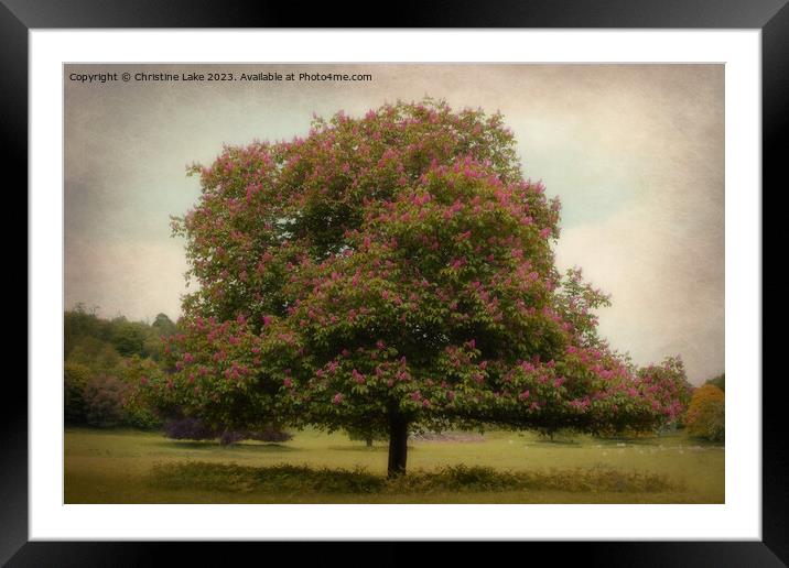 Summertime Bliss Framed Mounted Print by Christine Lake