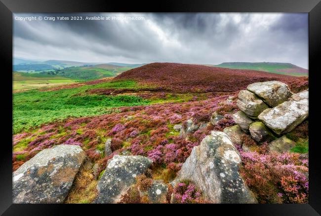 Peak District Heather. Framed Print by Craig Yates