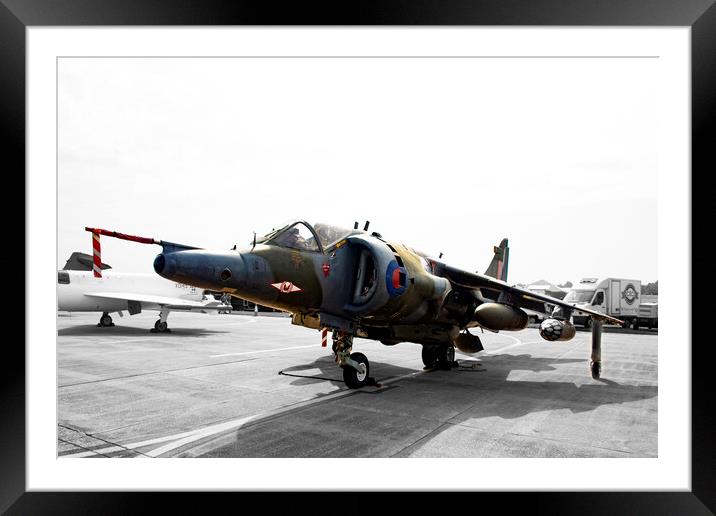 Harrier Framed Mounted Print by Glen Allen