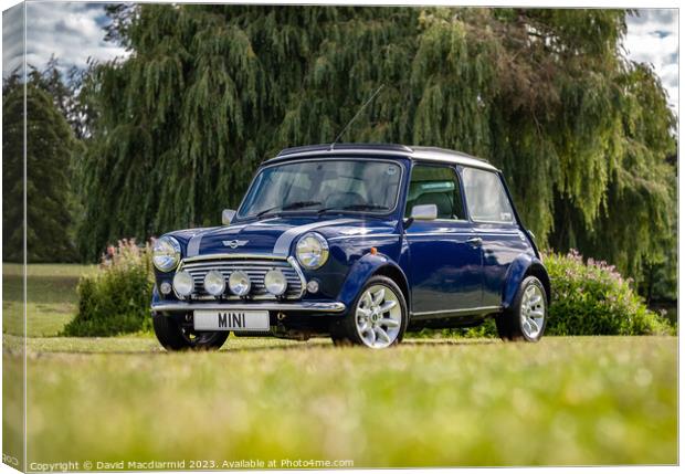 Classic Mini Cooper Canvas Print by David Macdiarmid