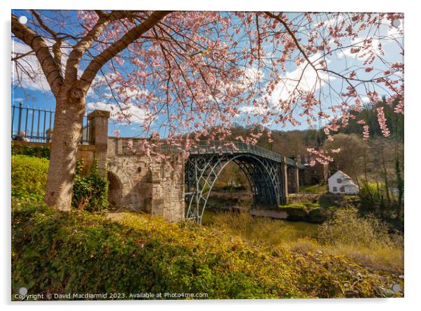Iron Bridge Blossom Acrylic by David Macdiarmid