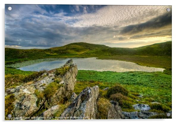 Bearded Lake, Wales Acrylic by David Macdiarmid