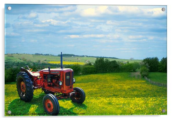 Nuffield Tractor Acrylic by Alison Chambers
