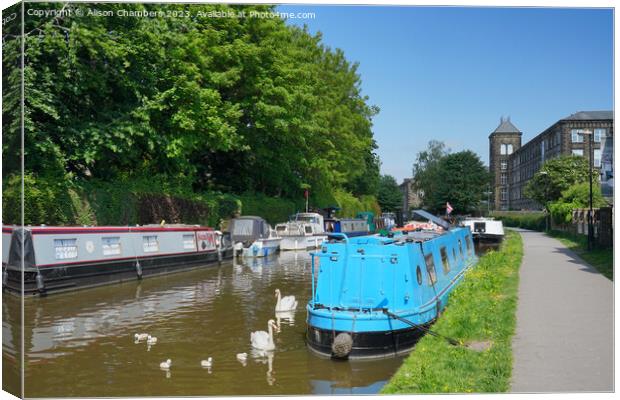 Skipton Canal Swans Canvas Print by Alison Chambers