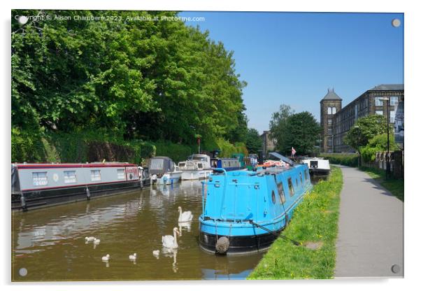 Skipton Canal Swans Acrylic by Alison Chambers