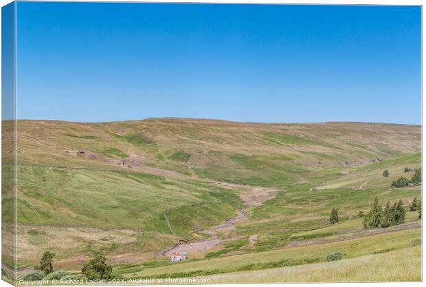 Summer in the Hudes Hope, Teesdale (2) Canvas Print by Richard Laidler