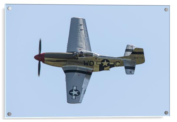 North American P-51D Mustang (G-SHWN) Acrylic by J Biggadike