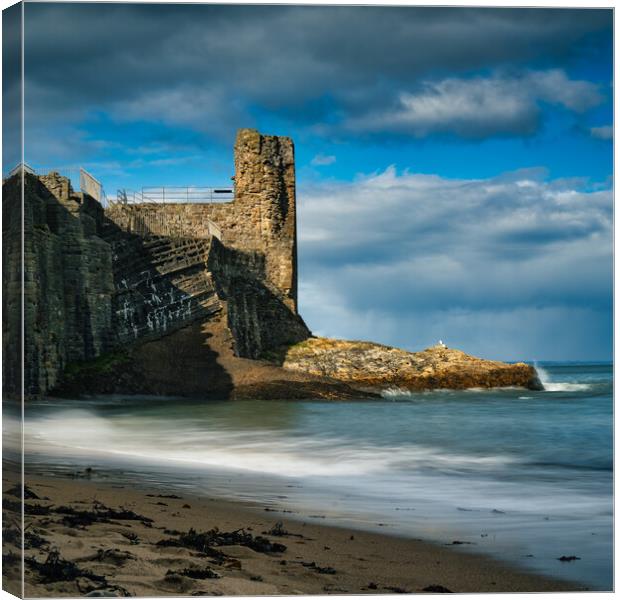Castle on the Scottish Shoreline Canvas Print by Stuart Jack
