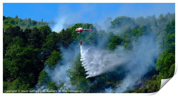 Forestry Fire Print by David Harris