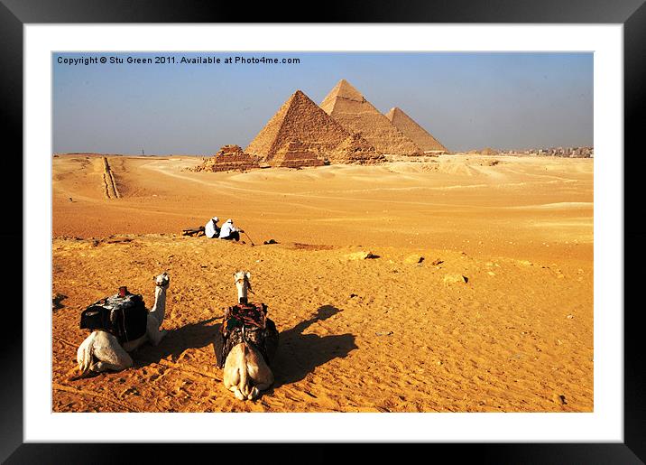 Pyramids of Giza Framed Mounted Print by Stu Green