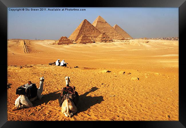 Pyramids of Giza Framed Print by Stu Green