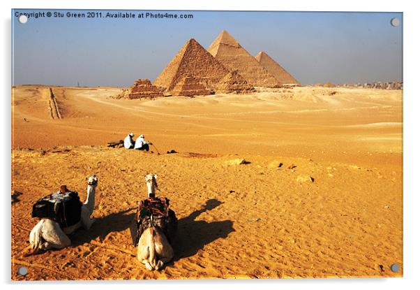 Pyramids of Giza Acrylic by Stu Green