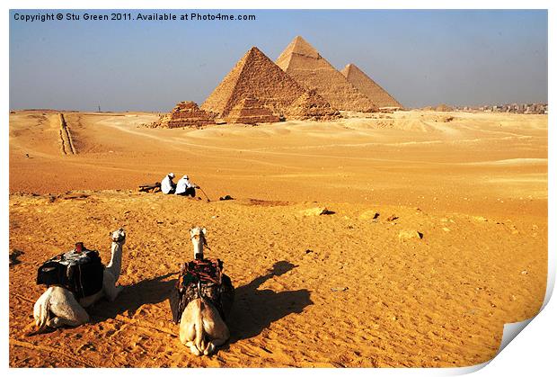 Pyramids of Giza Print by Stu Green