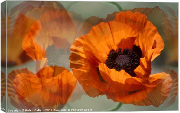 POPPIES Canvas Print by Helen Cullens
