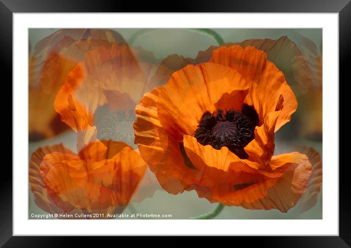POPPIES Framed Mounted Print by Helen Cullens