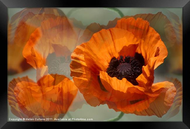 POPPIES Framed Print by Helen Cullens