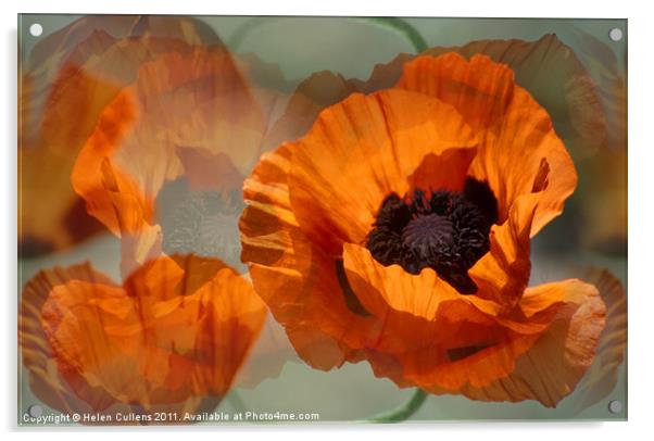 POPPIES Acrylic by Helen Cullens