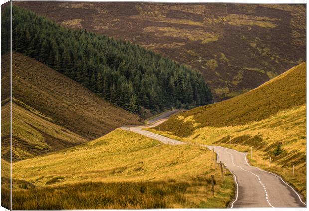 Road to Tomintoul Canvas Print by Duncan Loraine
