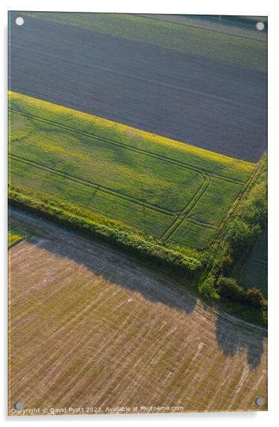 Patchwork Farmland England Acrylic by David Pyatt