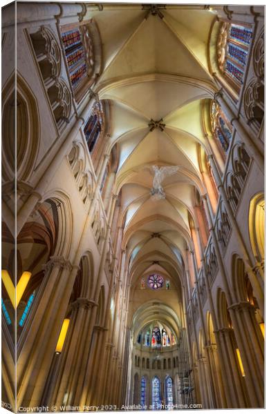 St John the Baptist Cathedral Basilica Lyon France Canvas Print by William Perry