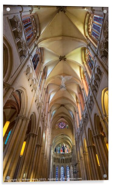 St John the Baptist Cathedral Basilica Lyon France Acrylic by William Perry