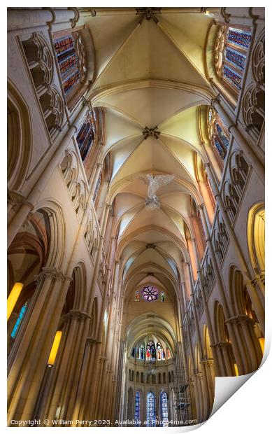 St John the Baptist Cathedral Basilica Lyon France Print by William Perry