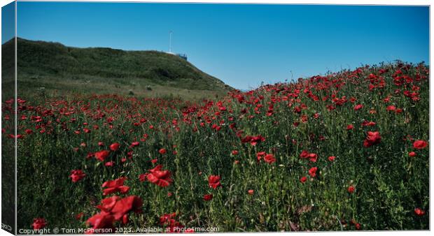 Field of Poppies at Burghead Canvas Print by Tom McPherson