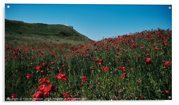 Field of Poppies at Burghead Acrylic by Tom McPherson