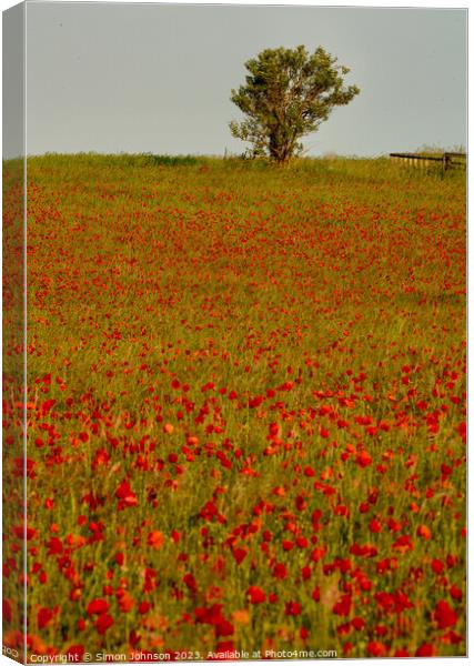 Outdoor field Canvas Print by Simon Johnson