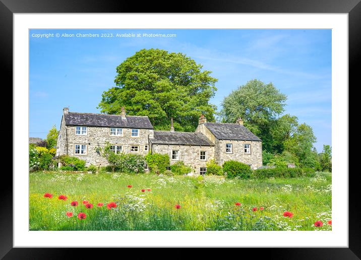 Linton North Yorkshire  Framed Mounted Print by Alison Chambers