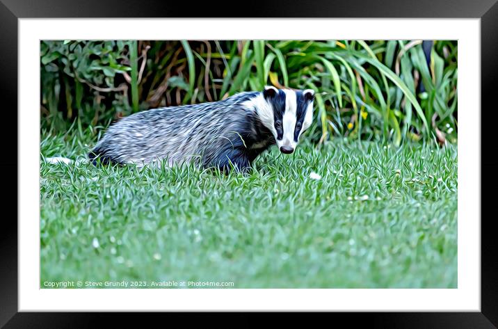 Badger Foraging at Dusk Framed Mounted Print by Steve Grundy