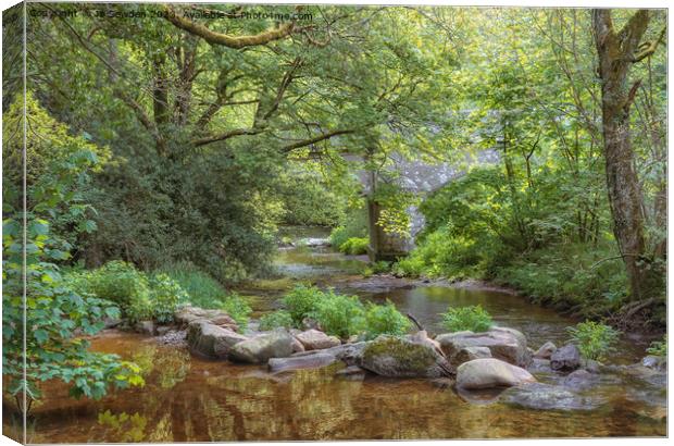 Steps Bridge, Dunsford, Dartmoor Canvas Print by Jo Sowden