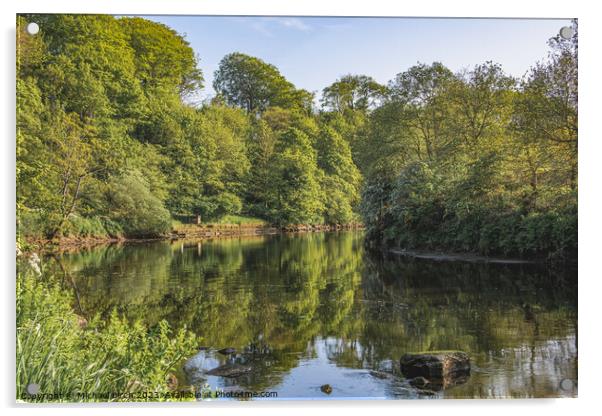 Reflections on River Coquet Acrylic by Michael Birch