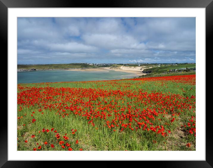 Breathtaking Cornish Coastal Poppies Framed Mounted Print by Tony Twyman
