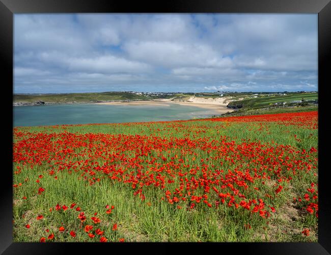 Breathtaking Cornish Coastal Poppies Framed Print by Tony Twyman