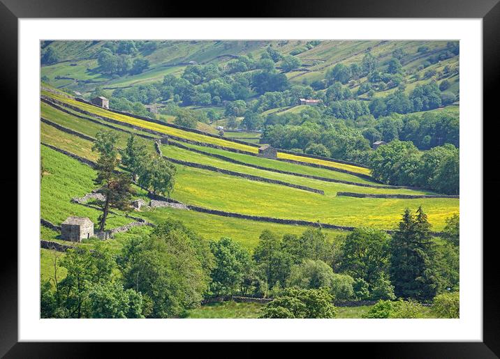 Yorkshire Dales landscape near Muker. Framed Mounted Print by David Birchall