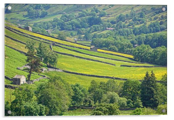 Yorkshire Dales landscape near Muker. Acrylic by David Birchall