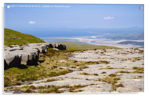 Cambrian Way to Coast Snowdonia Wales Acrylic by Pearl Bucknall