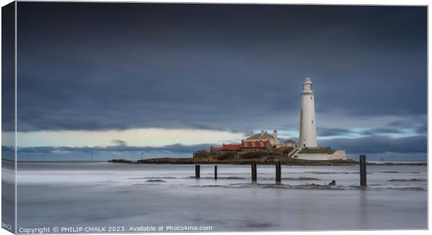 St Mary's lighthouse 901  Canvas Print by PHILIP CHALK